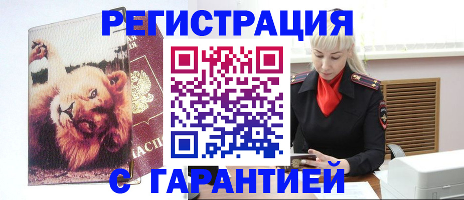 прописка от собственника в Мурино